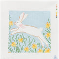 Spring Bunny