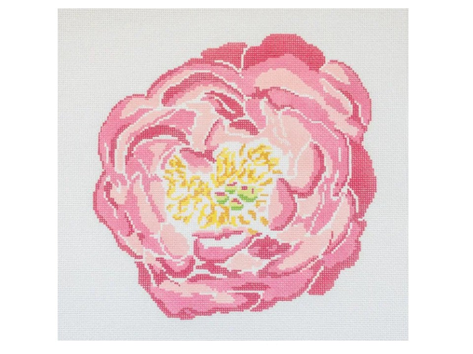 Large Peony