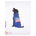 Black Lab with Sweater