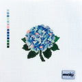 Hydrangea