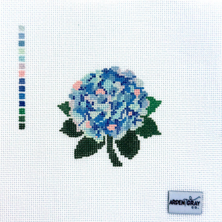 Hydrangea