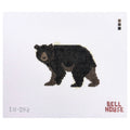 Brown Bear