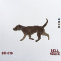 Chocolate Lab