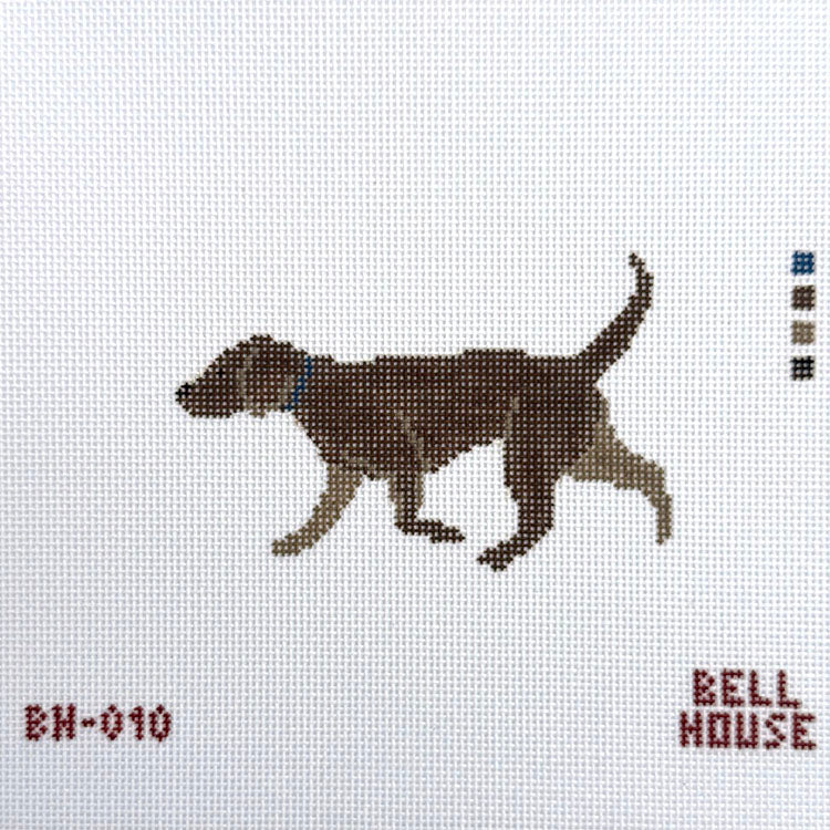 Chocolate Lab