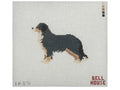 Bernese Mountain Dog