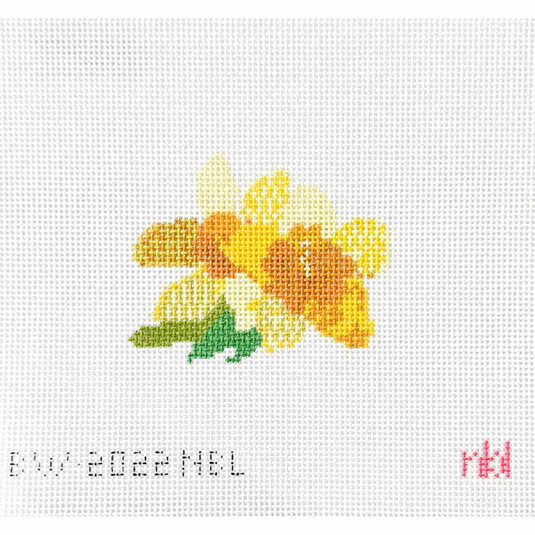 Daffodil