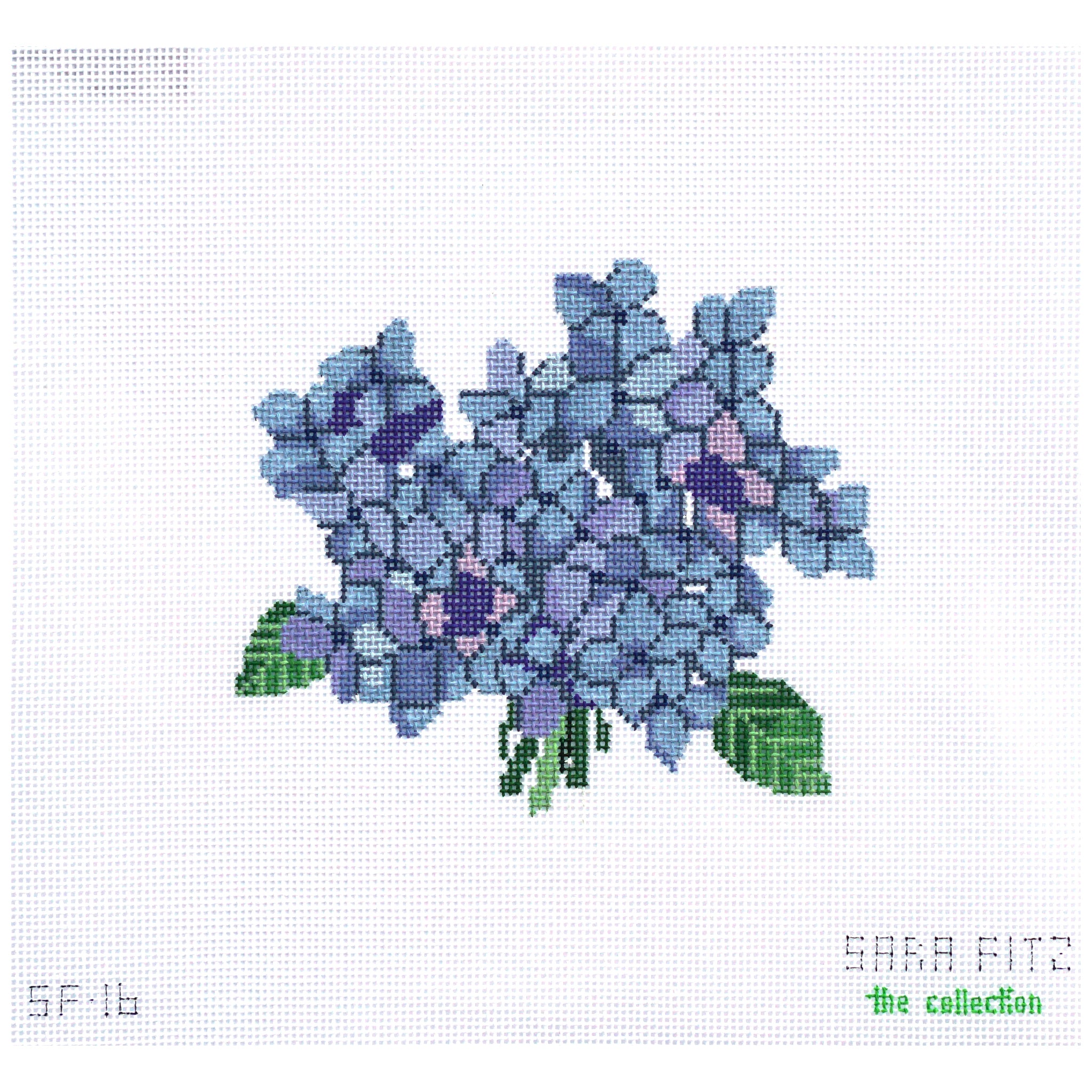 Hydrangea Bloom