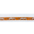 Cheetah Belt