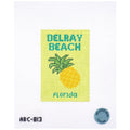 Delray Travel Book