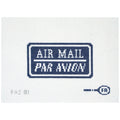 Needlepoint canvas design of an 'Air Mail Par Avion' label on a white background.