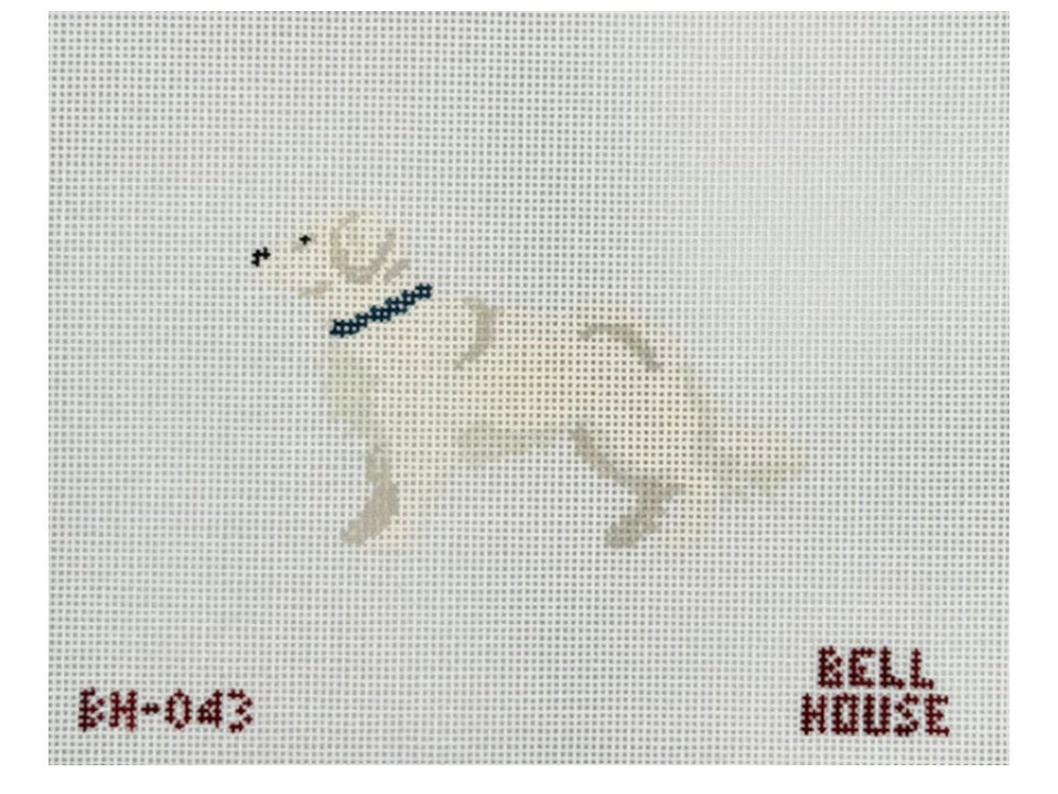 English Cream Golden Retreiver