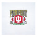 IU Perfect Season