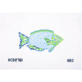 Blue and Green Parrotfish