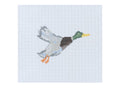 Mallard