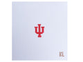 Mini IU