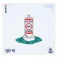No wake zone buoy