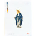 Mother Mary 13 Mesh
