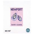 Newport Travel Book