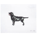 "Quincy" The Black Labrador