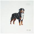 Needlepoint canvas Bernese Mountain Dog on a white background