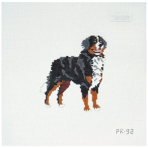 Needlepoint canvas Bernese Mountain Dog on a white background