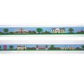 Indiana University Belt